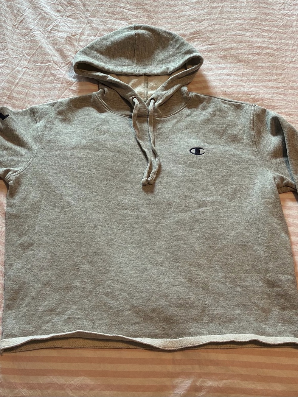 Champion Light Gray Pullover Hoodie with Small Logo